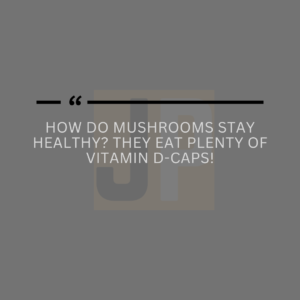 180 Mushroom Jokes to Use, Enjoy, and Share the Fungi Fun
