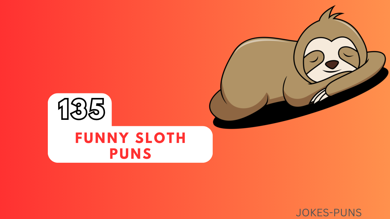 135 Funny Sloth Puns That You'll Love